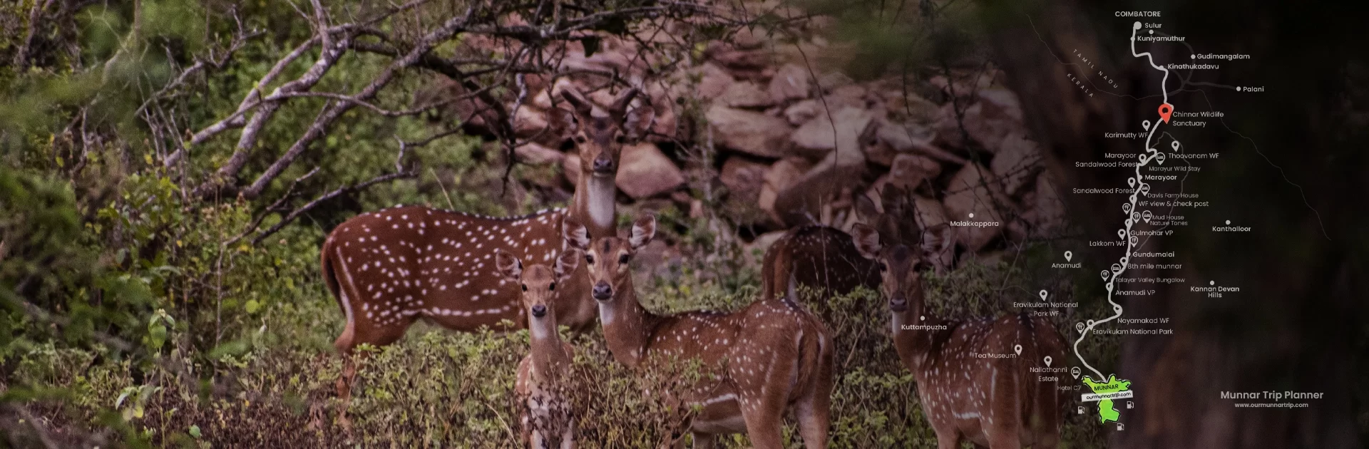 chinnar wildlife sanctuary contact number