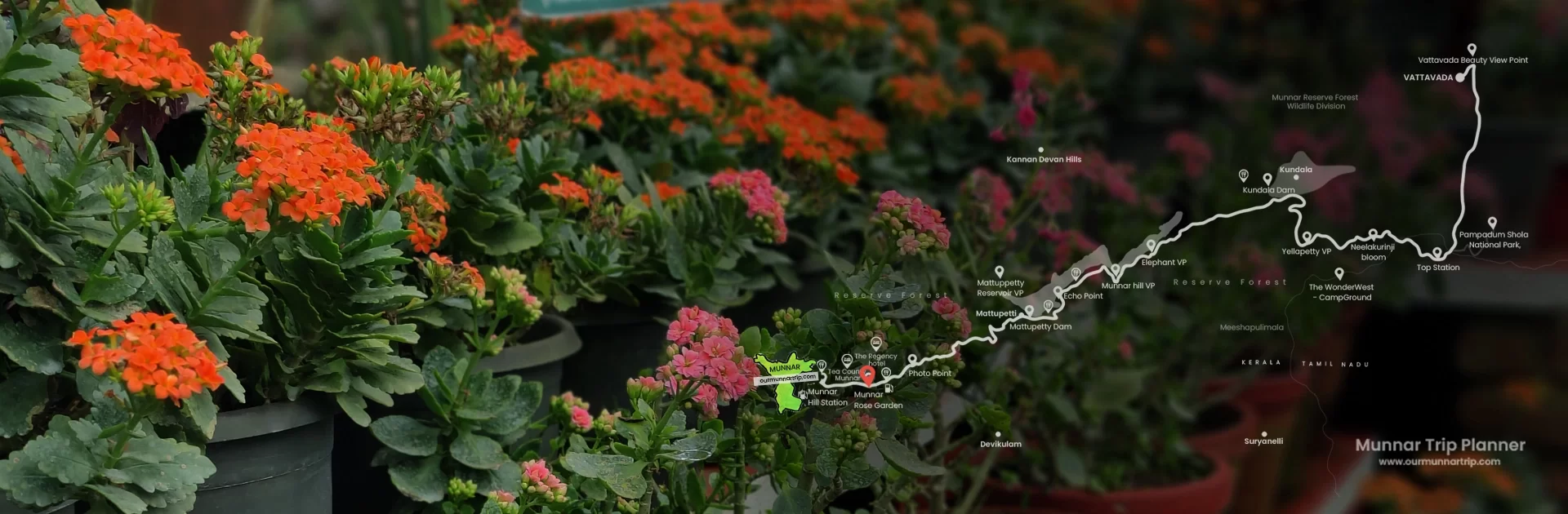 Flower Garden Munnar