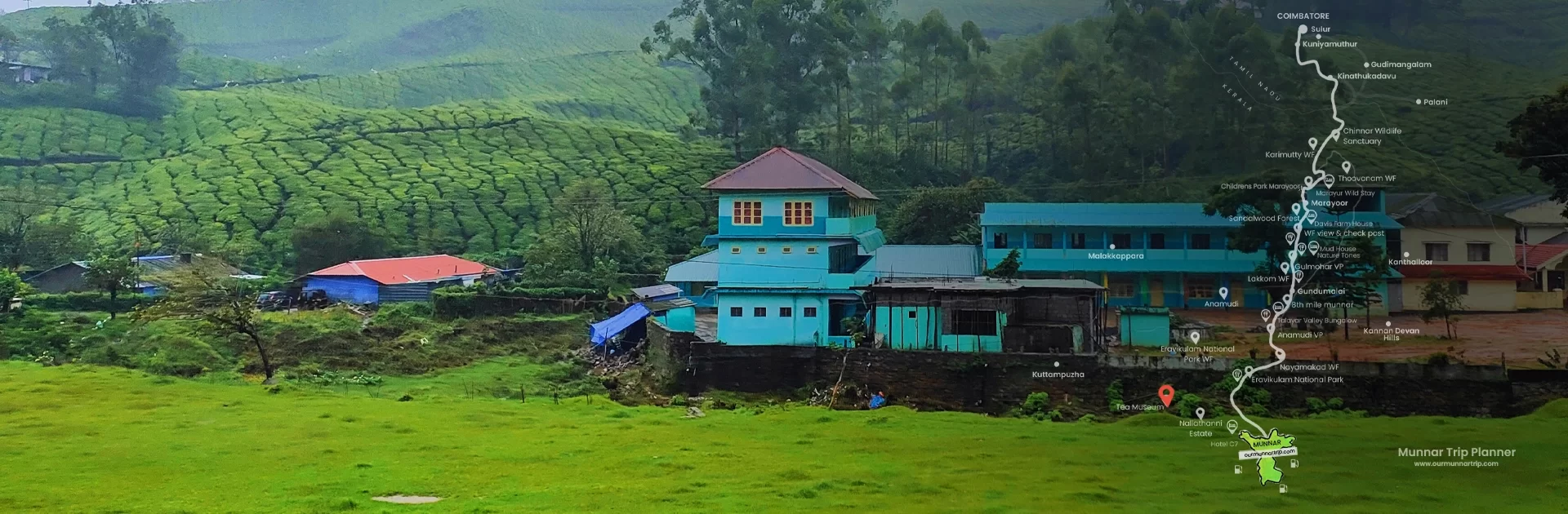 tata tea Estate in kerala  Photo Gallery