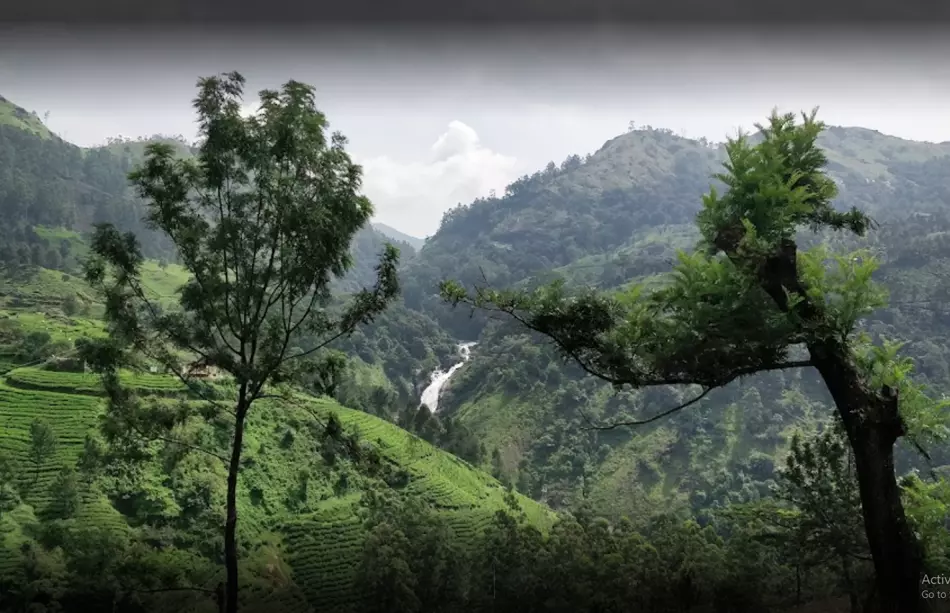 Attukad Waterfalls - Winter