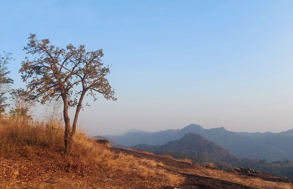 Mudippara Summer View