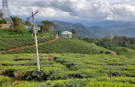 2nd Mile, Munnar