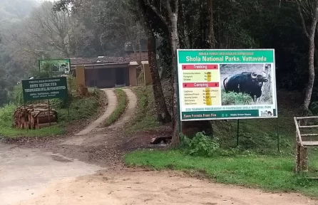 Pampadum Shola National Park Munnar