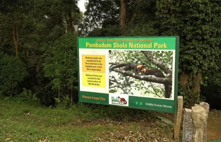 Pampadum Shola National Park Munnar