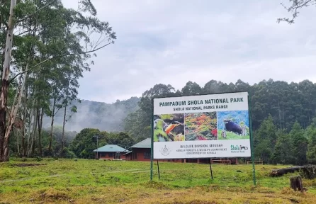 Pampadum Shola National Park Munnar