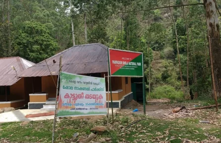 Pampadum Shola National Park Munnar