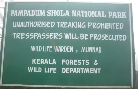 Pampadum Shola National Park Munnar