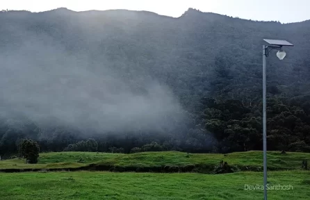 Pampadum Shola National Park Munnar