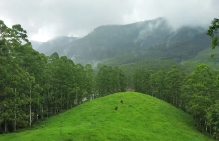 Pullu Medu, Elephant View Point