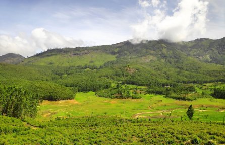 Pullu Medu, Elephant View Point