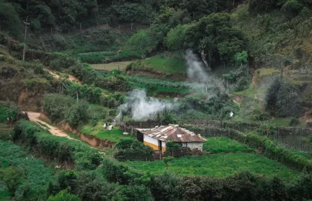 Yellappetty Munnar