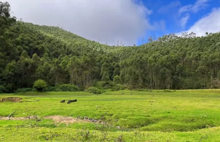 Yellappetty Munnar