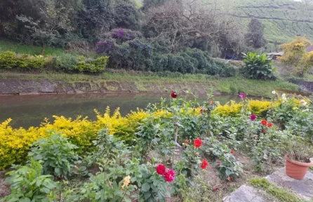 Blossom Hydel Park