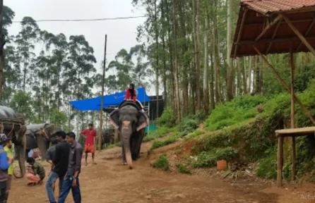 Carmelagiri Elephant Park Munnar