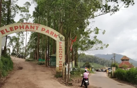 Carmelagiri Elephant Park Munnar