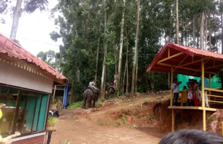 Carmelagiri Elephant Park Munnar