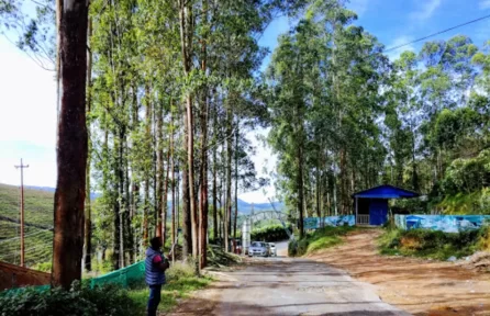 Carmelagiri Elephant Park Munnar