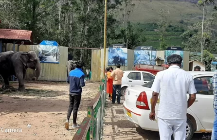 Carmelagiri Elephant Park Munnar