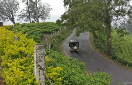 Carmelagiri Elephant Park Munnar