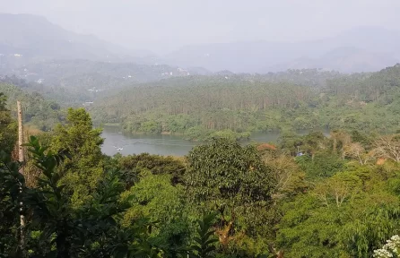 Chenkulam Top View