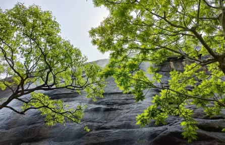 Irachilpara Waterfalls 