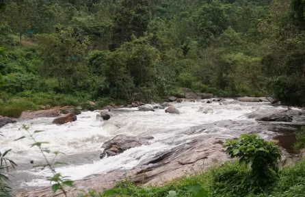 Irachilpara Waterfalls  Top