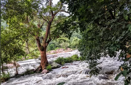 Irachilpara Waterfalls 