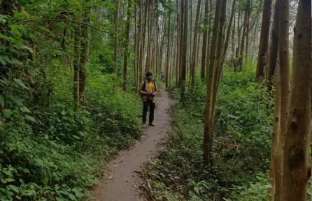 Kanthalloor Waterfalls Way