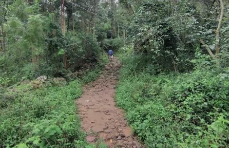 Kanthalloor Waterfalls Way