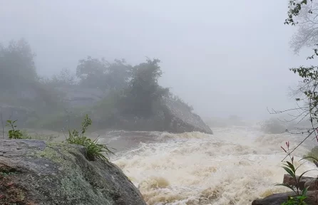 Monsoon View