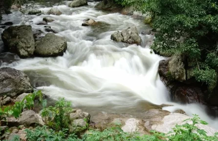 Karimutty Waterfalls