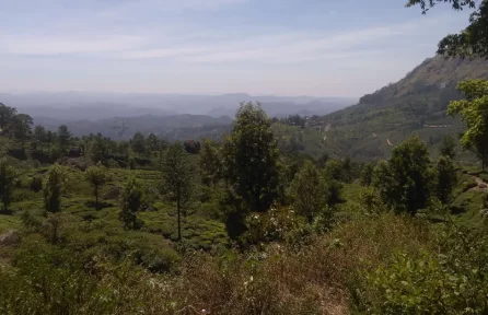 Nallathanni Estate Top View