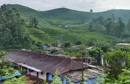 Nallathanni Estate View