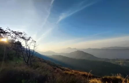 Mudippara View Point