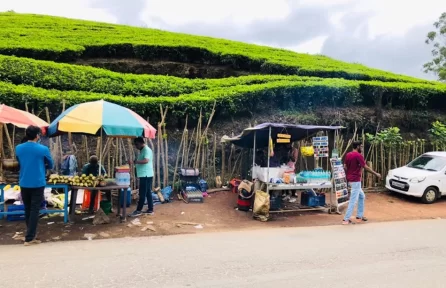 small shops near Photo Point Munnar