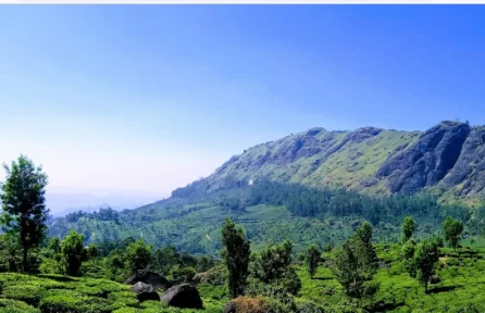 Photo Point Munnar