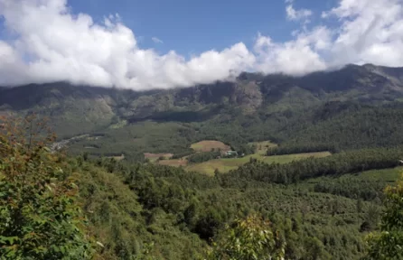 Photo Point Munnar