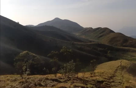 Photo Point Munnar