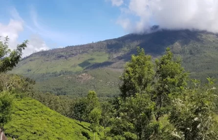 Photo Point Munnar