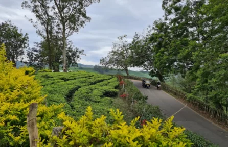 Photo Point Munnar