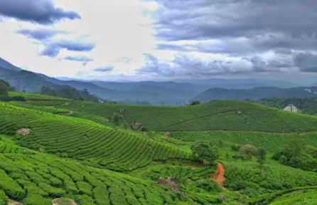 Photo Point Munnar