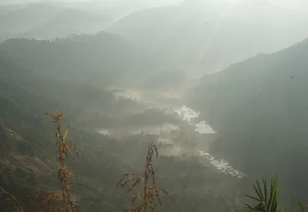 Pettimudi Hills Viewpoint