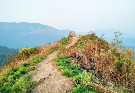 Pettimudi Hills Viewpoint