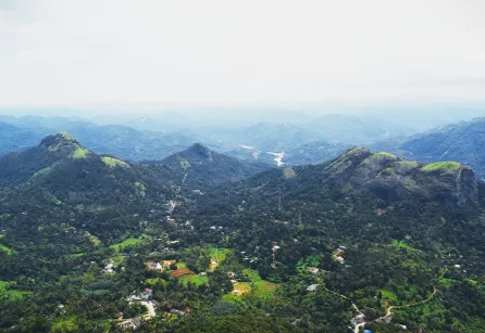 Pettimudi Hills Viewpoint