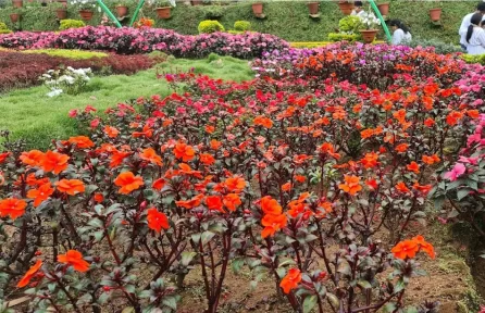 Rose Garden Munnar