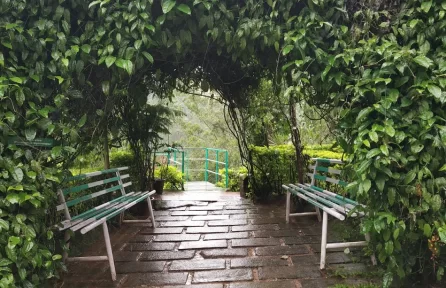 Rose Garden Munnar