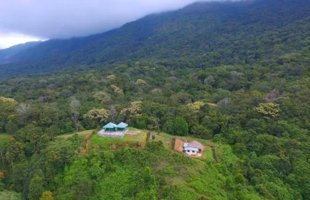 Pampadum Shola National Park Munnar