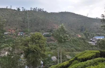 Nallathanni Garden View