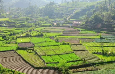 Vattavada Munnar