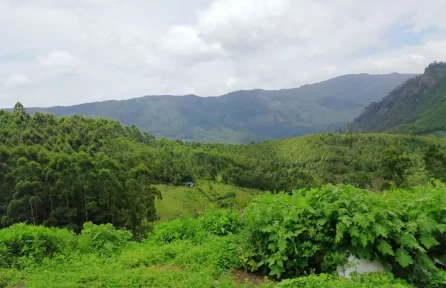 Vattavada Munnar